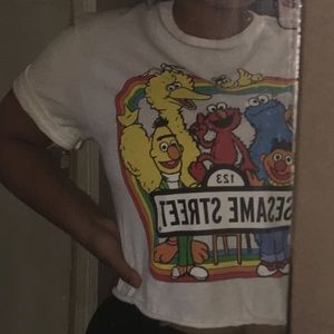 Sesame Street cropped t shirt 😻